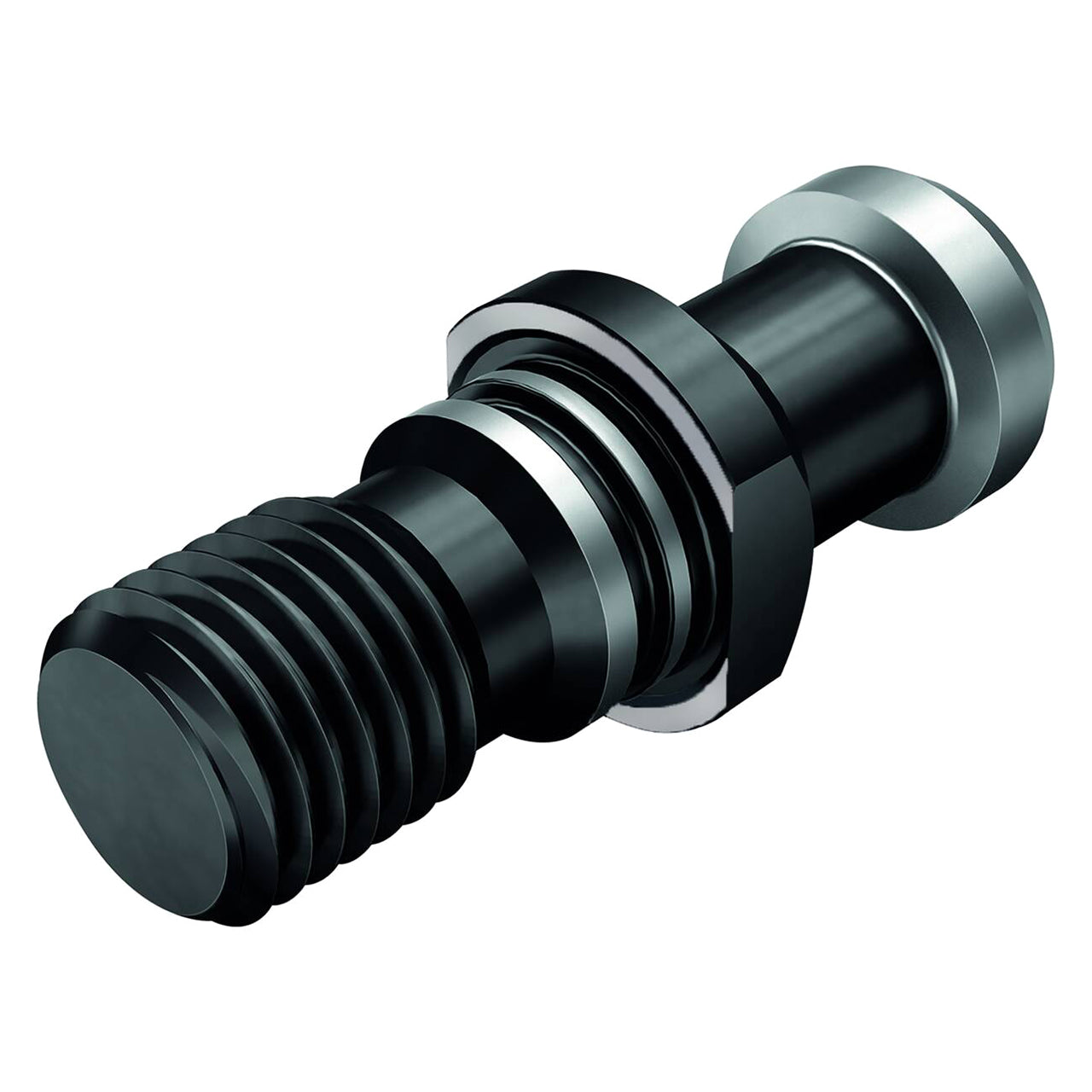 03119904.jpg
