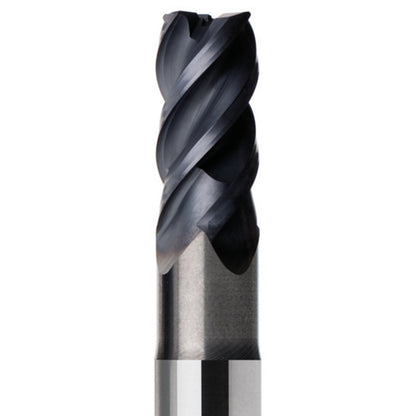 03135449.jpg