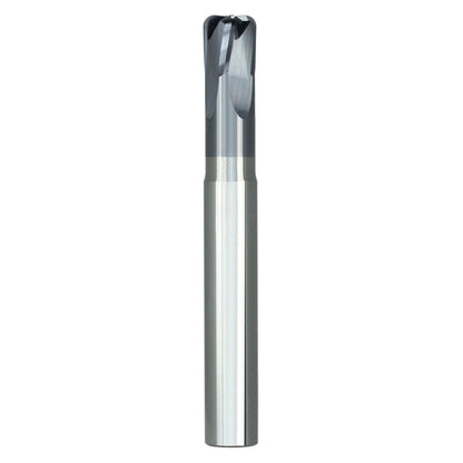 03169568.jpg