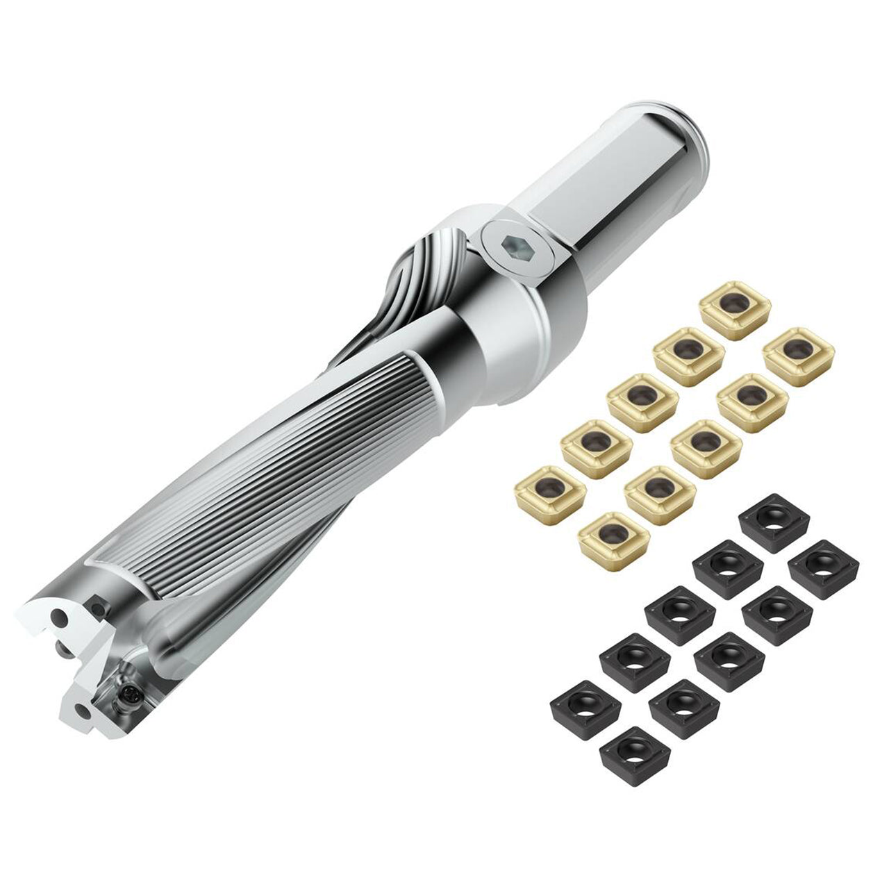 03171446.jpg
