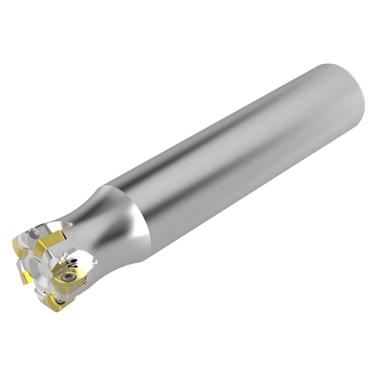 03212901.jpg