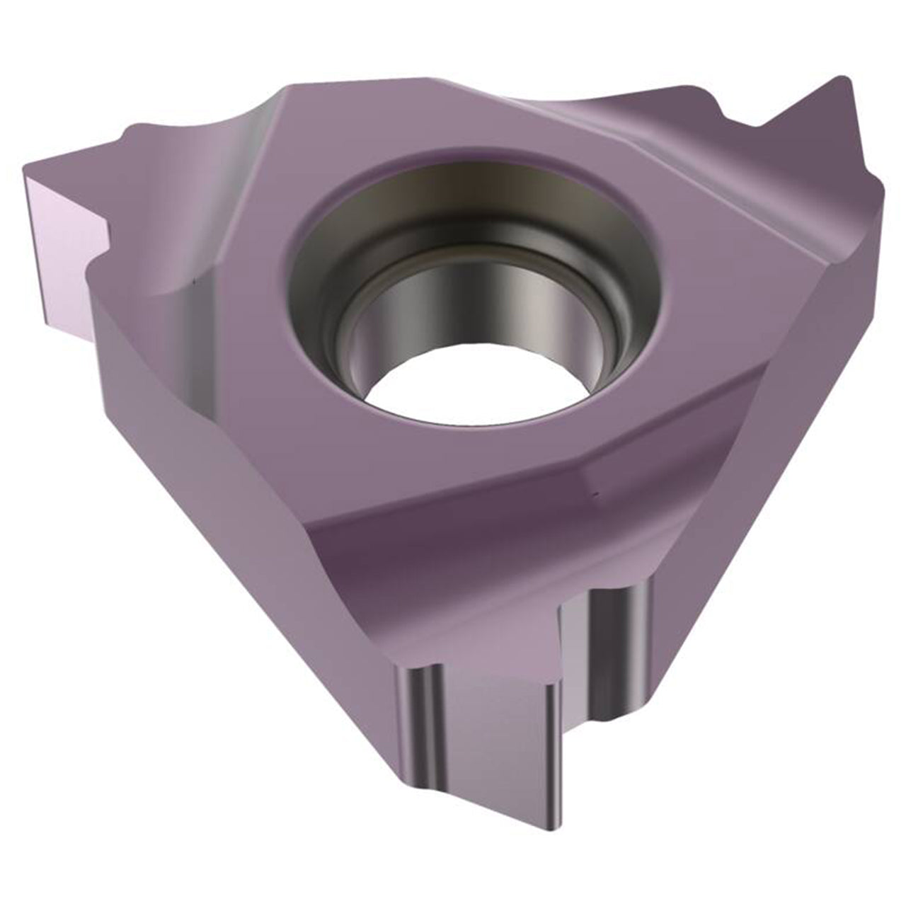 03245437.jpg