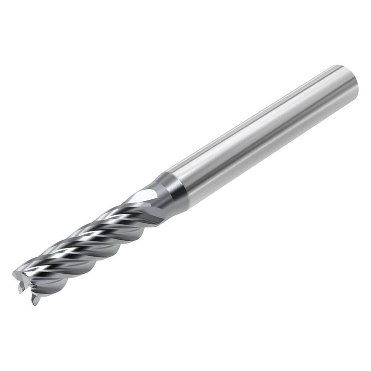 03257833.jpg