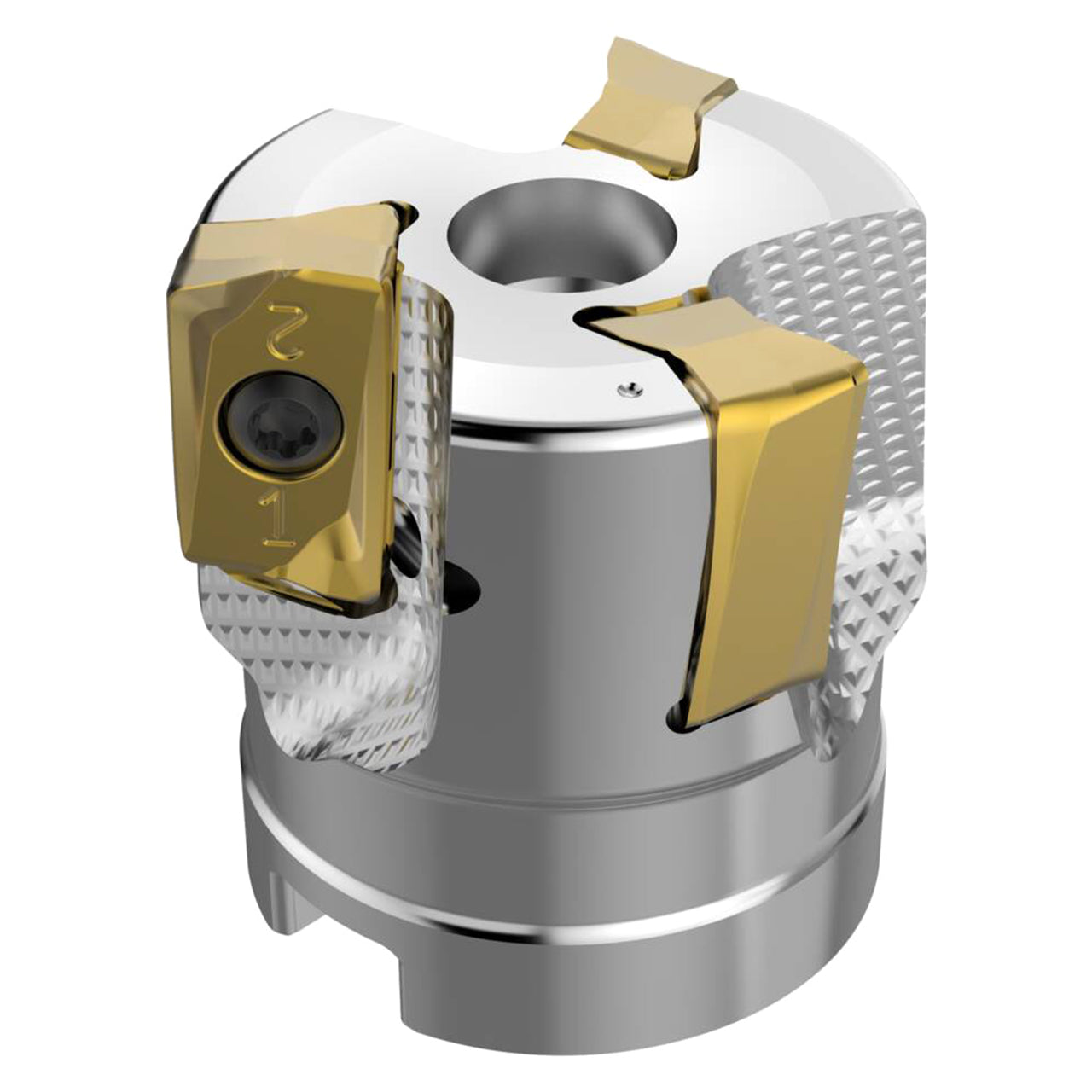 03290237.jpg