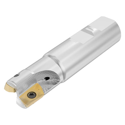 03336092.jpg