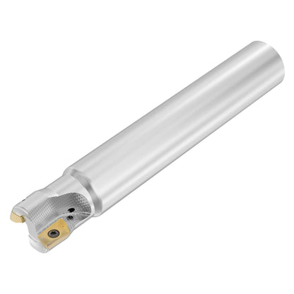 03336134.jpg
