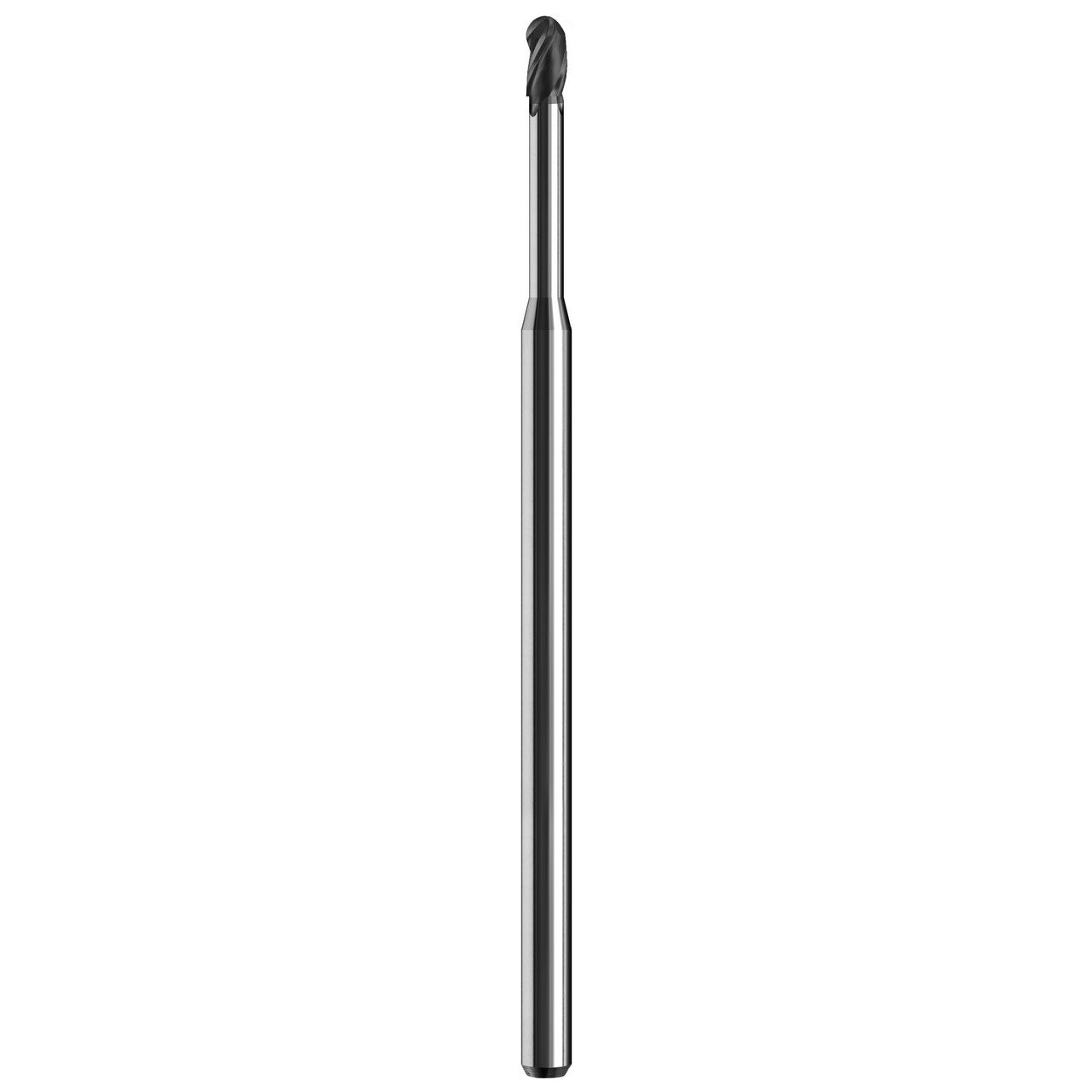 03962.jpg
