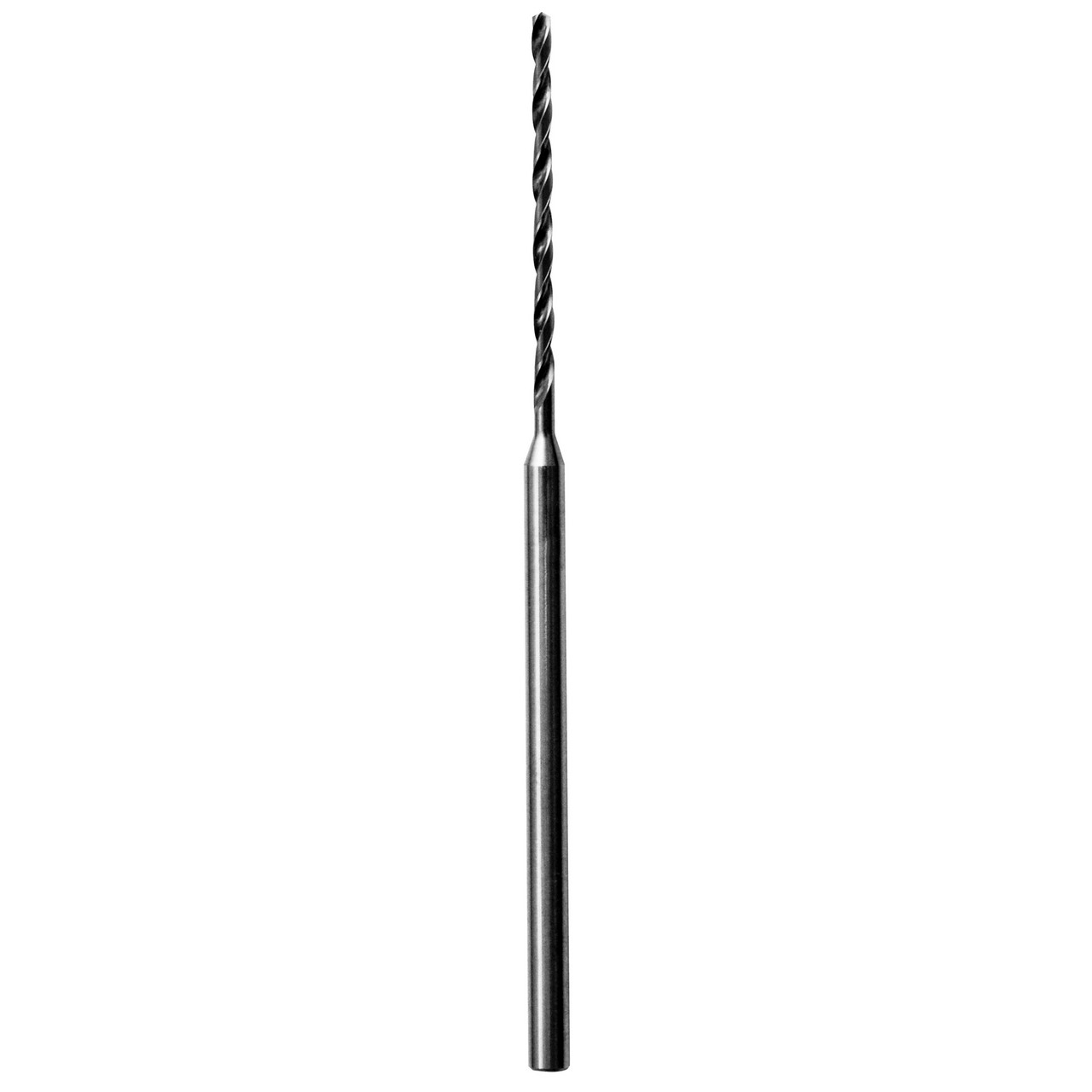 06031.jpg