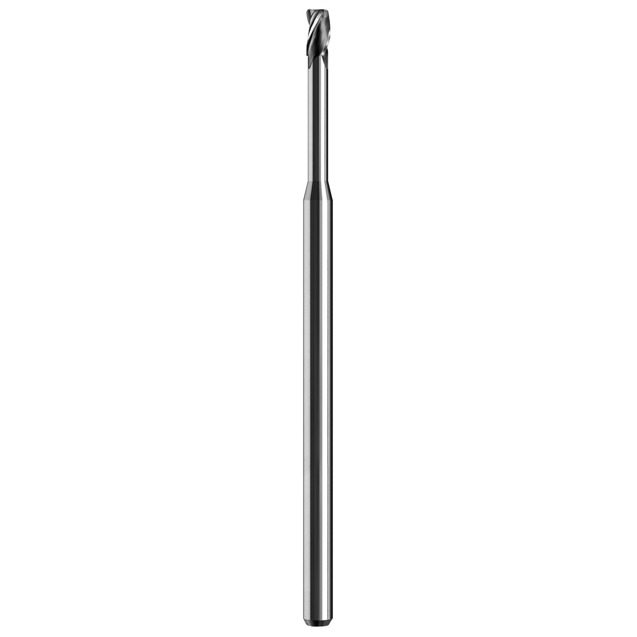 08856.jpg