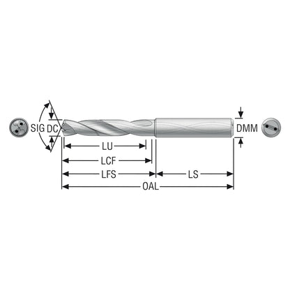 10004073.jpg