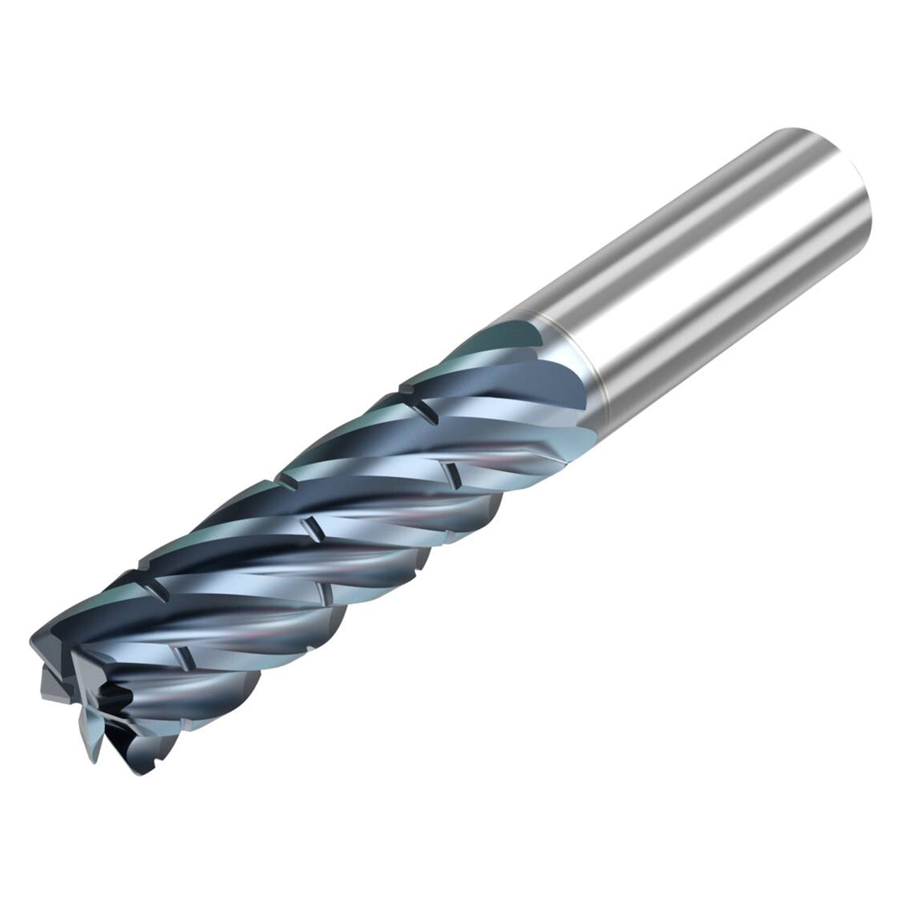 10008421.jpg
