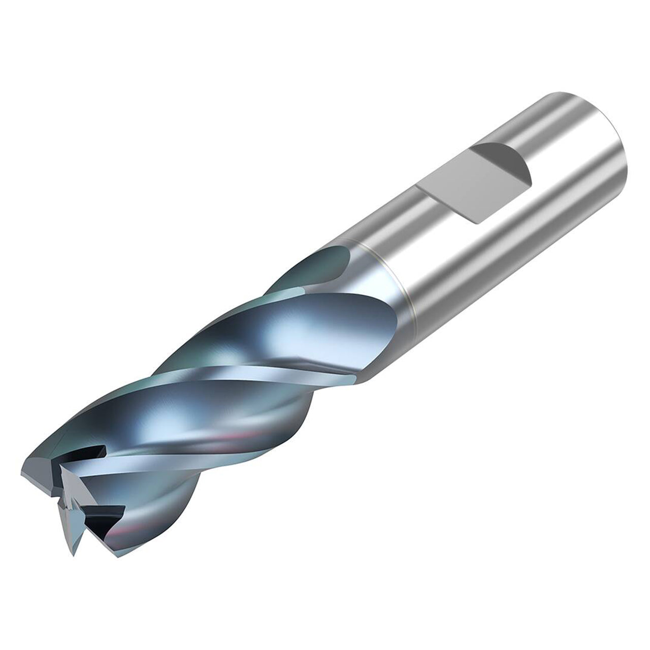 10008531.jpg