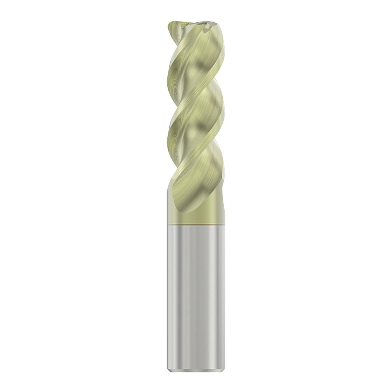 10023069.jpg