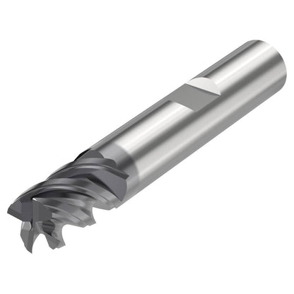 10041463.jpg