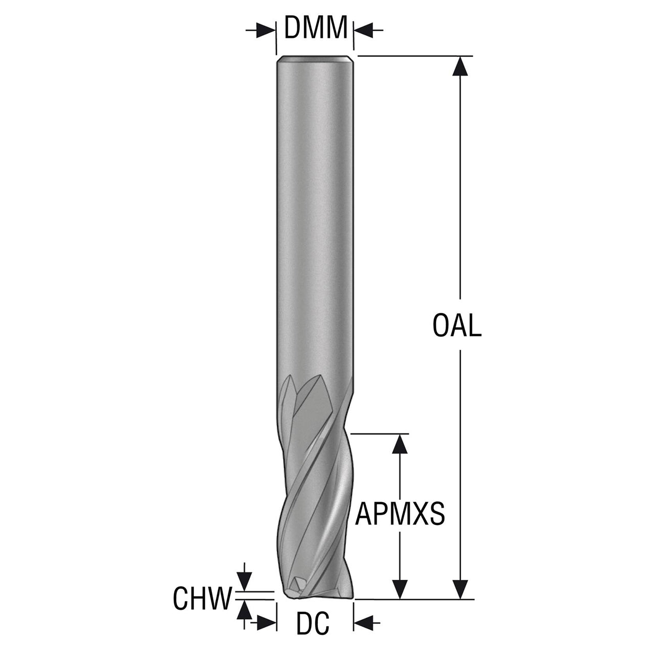 10053047.jpg