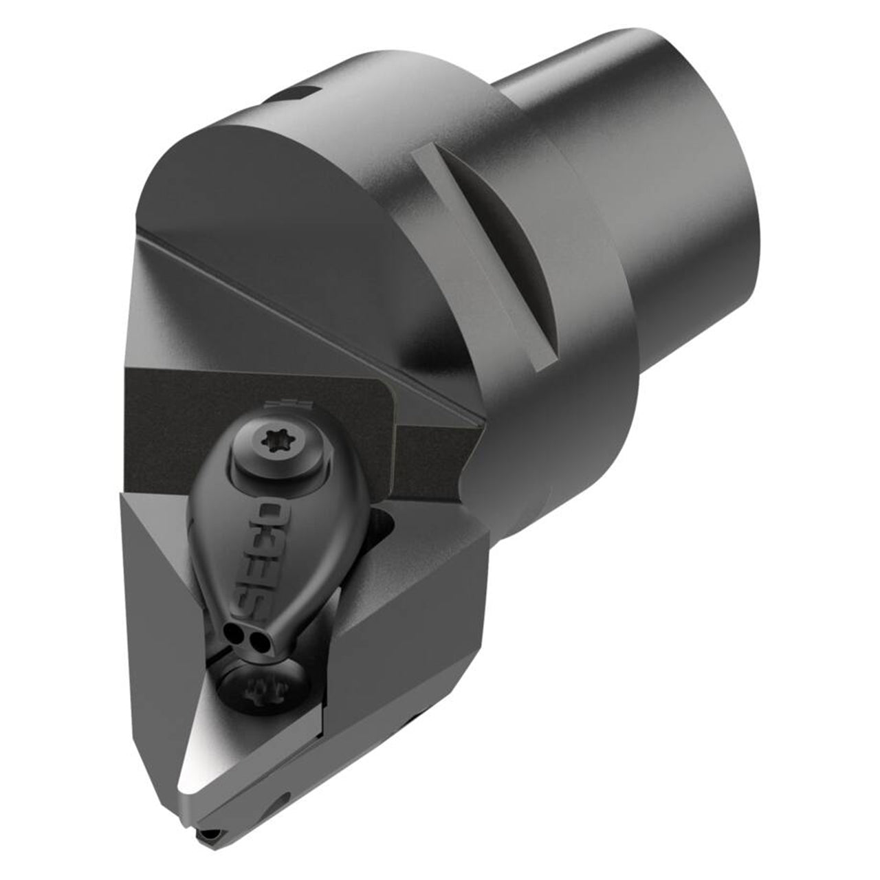 10070177.jpg