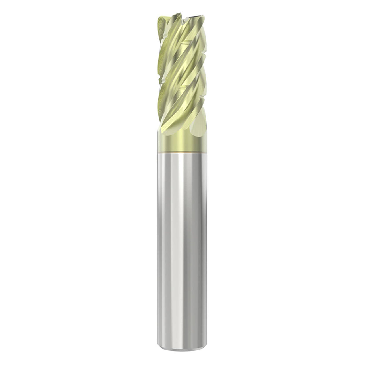 10135015.jpg
