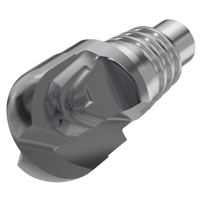 10138010.jpg