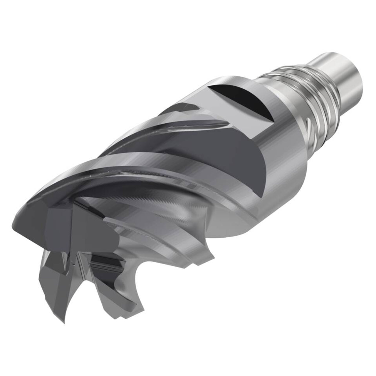 10138174.jpg