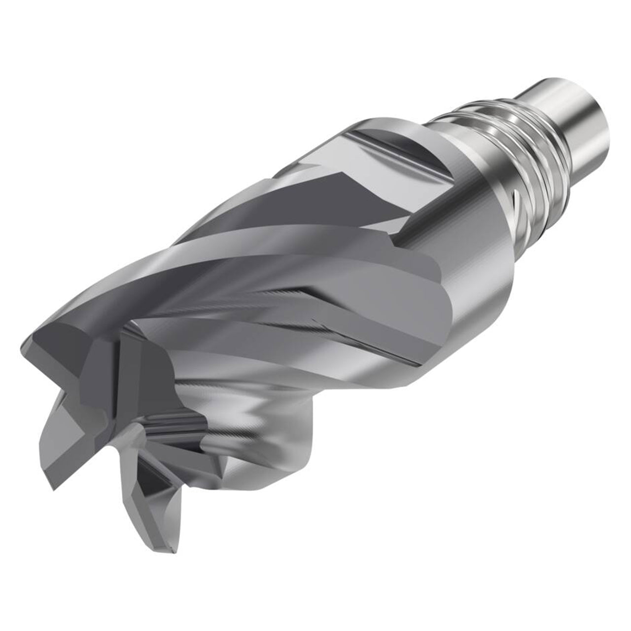 10138342.jpg