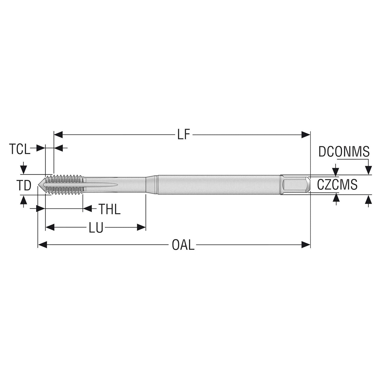 10139221.jpg