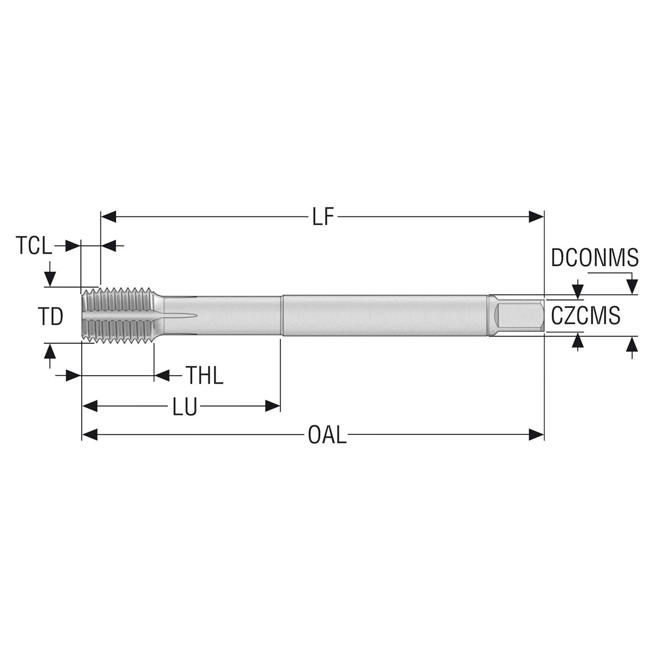 10139229.jpg