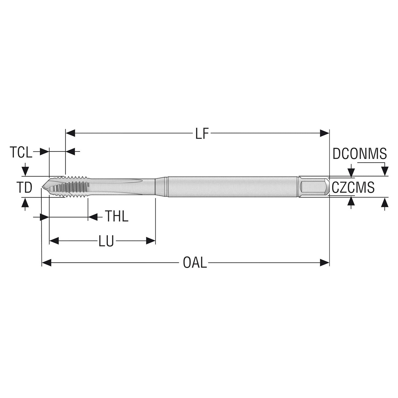 10139562.jpg