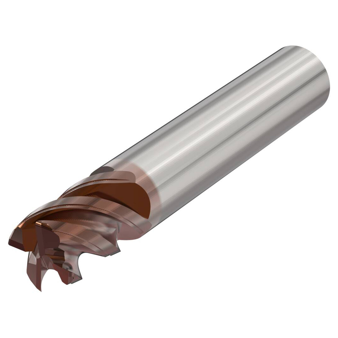 10164874.jpg