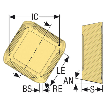 10198746.jpg