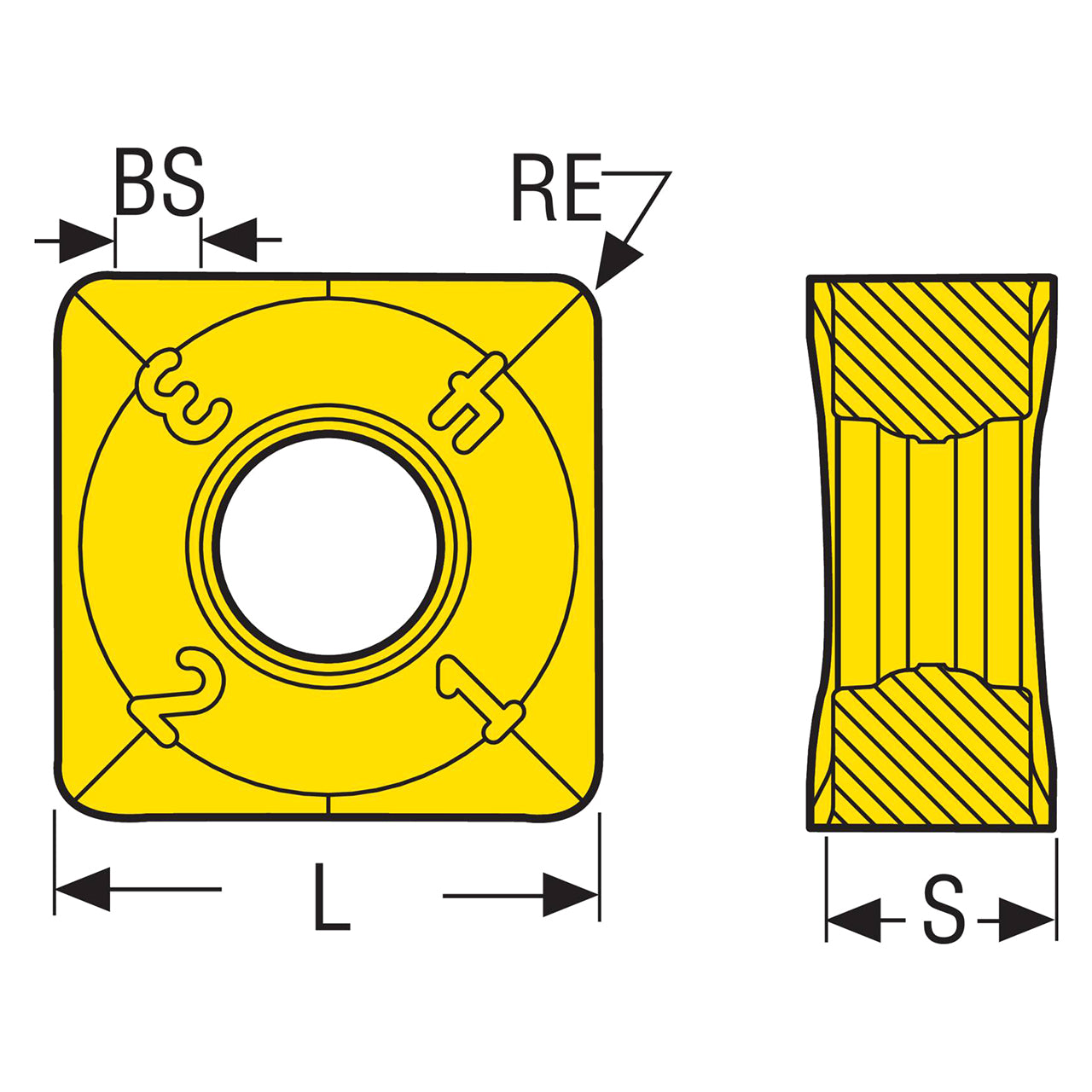 10198750.jpg