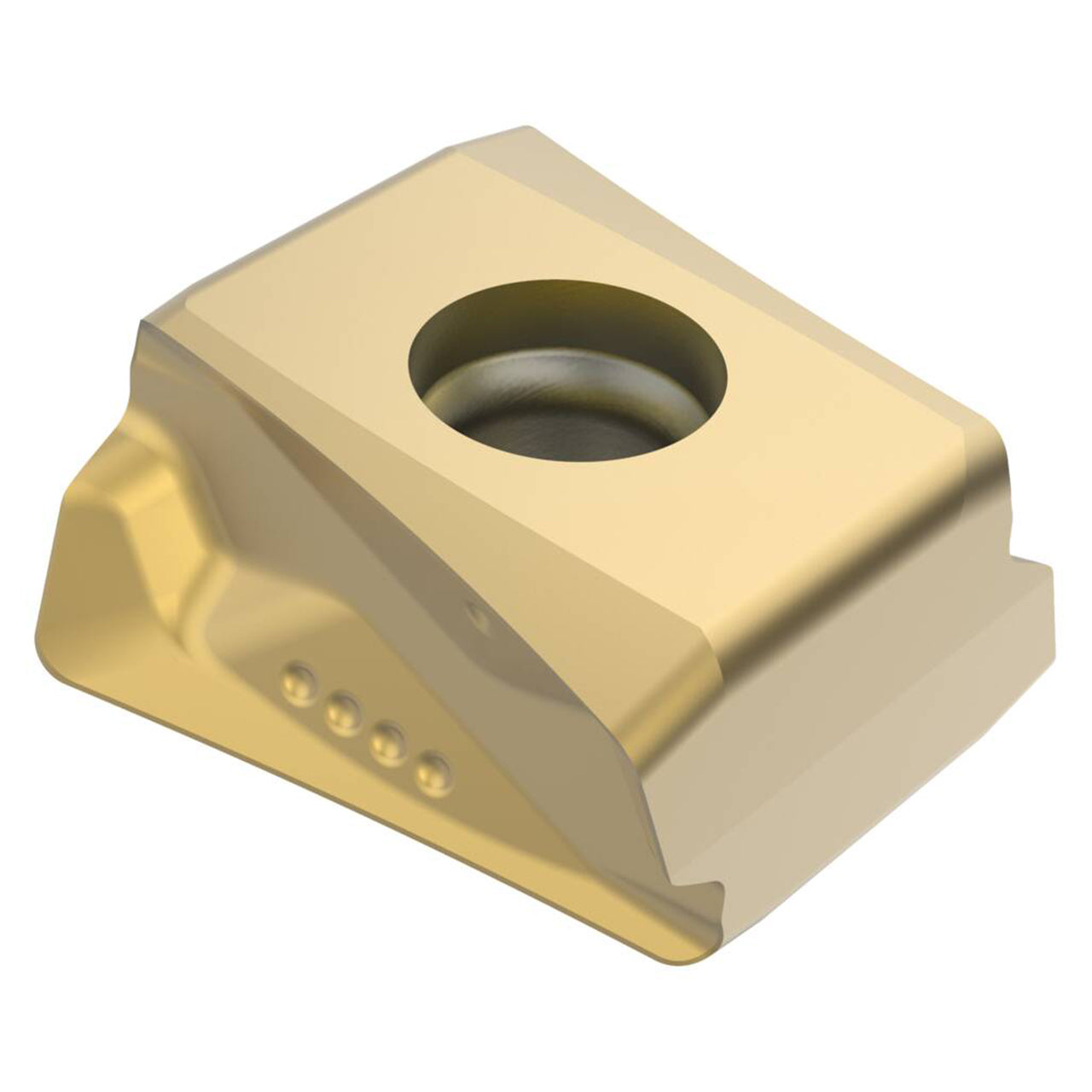 10207738.jpg