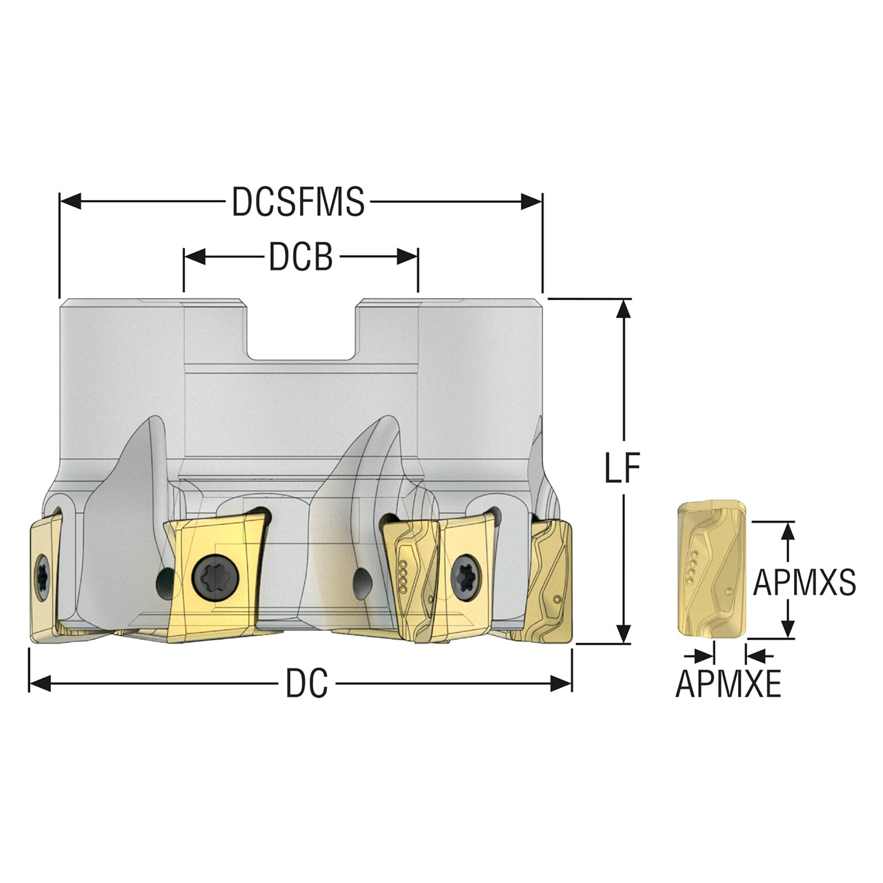 10207978.jpg
