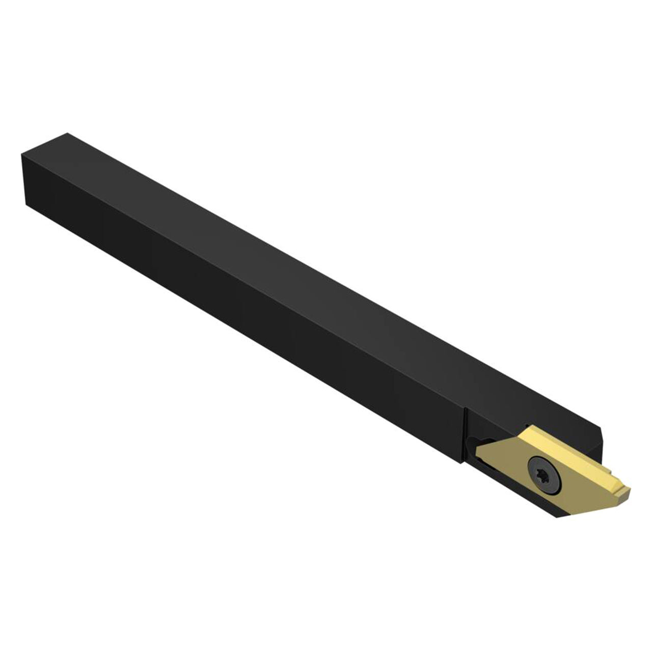 10221612.jpg