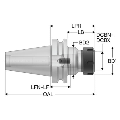 10229687.jpg