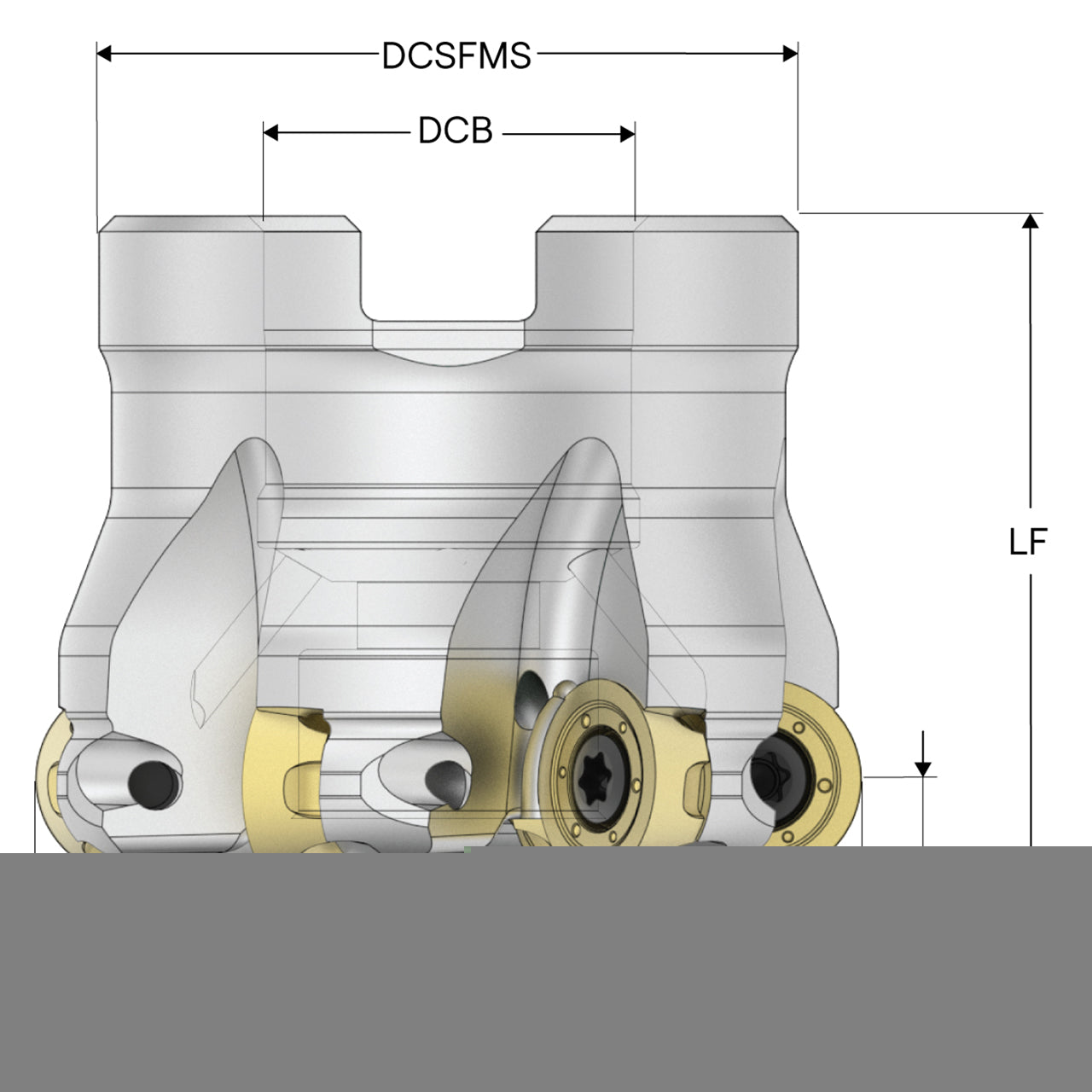10254940.jpg