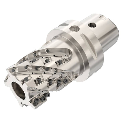 10255177.jpg