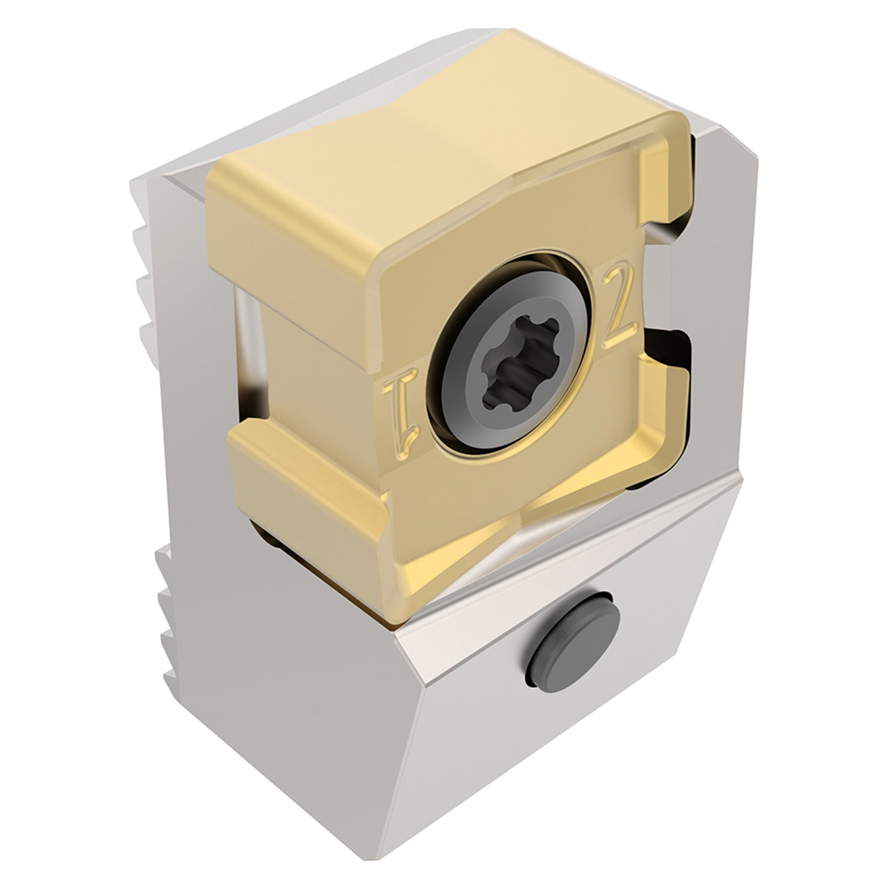 10272514.jpg