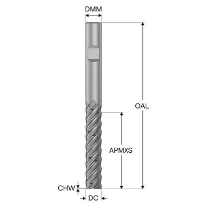 10273206.jpg