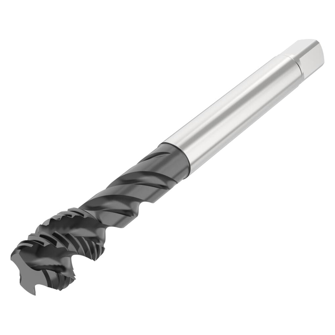 10280400.jpg