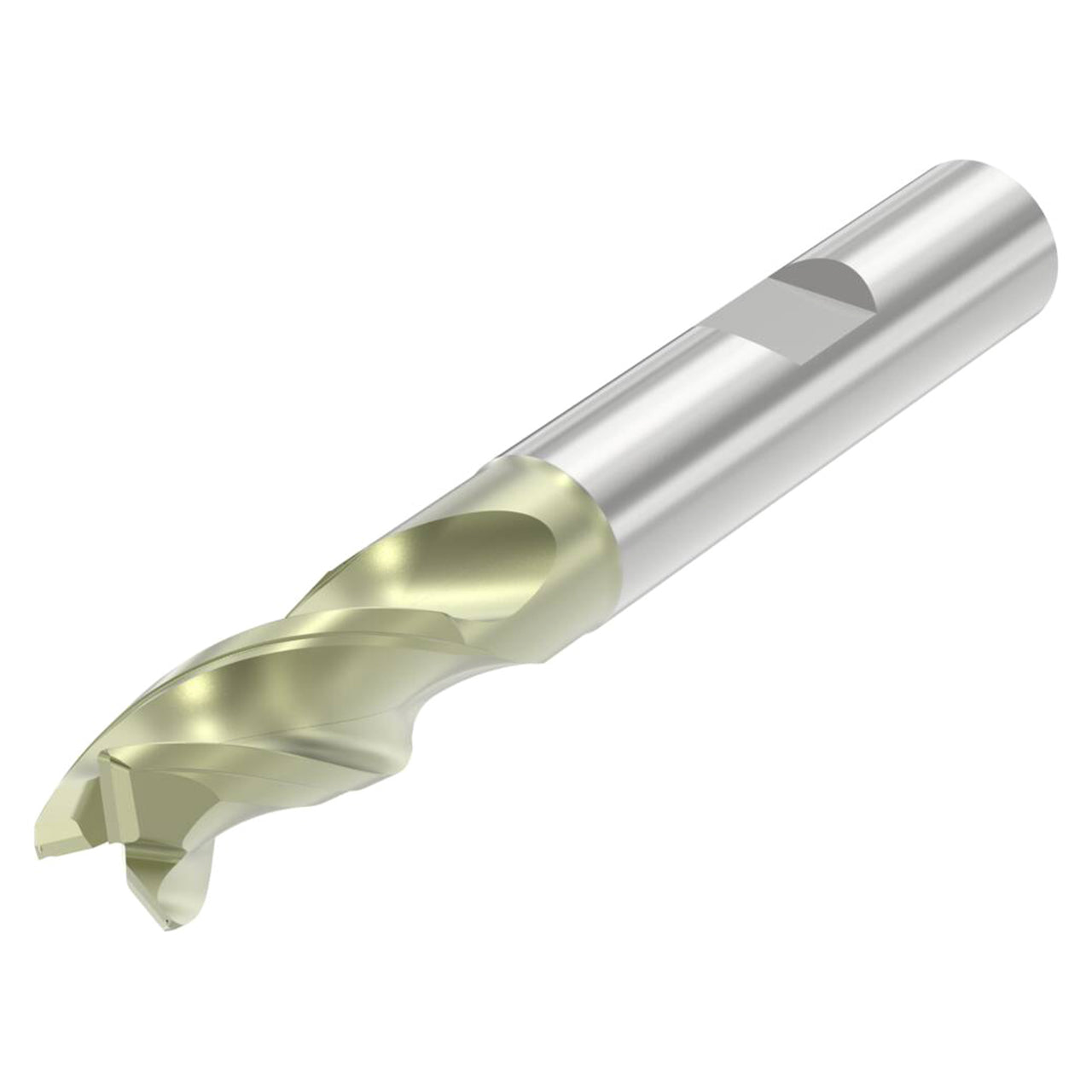 10286992.jpg