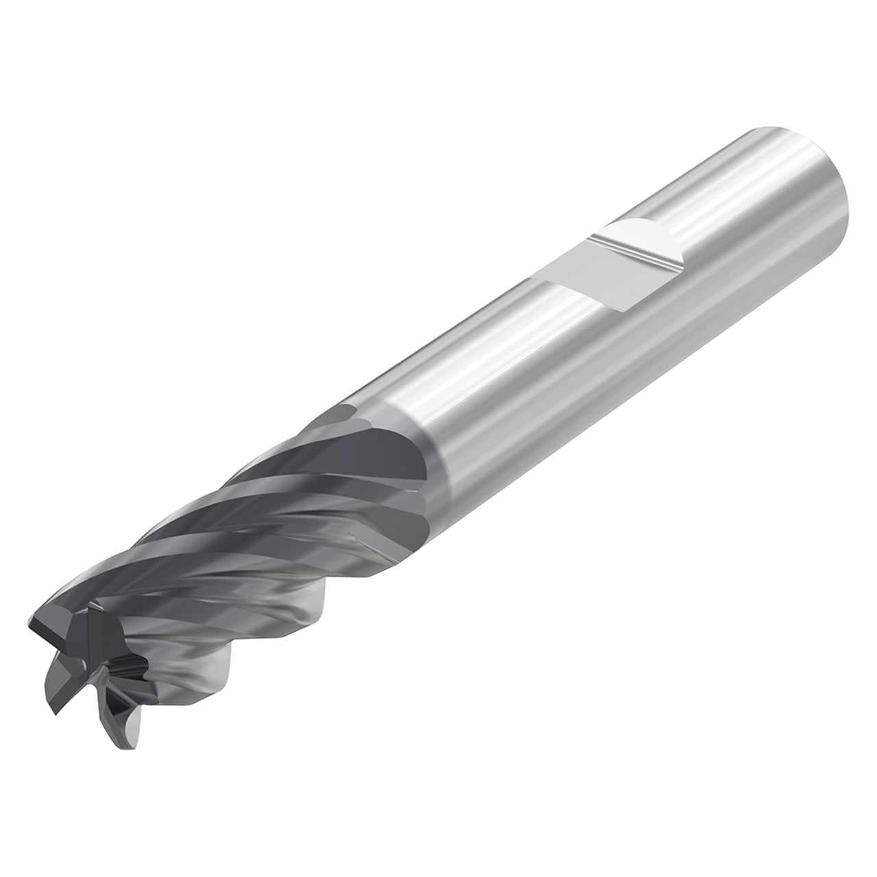 10303398.jpg
