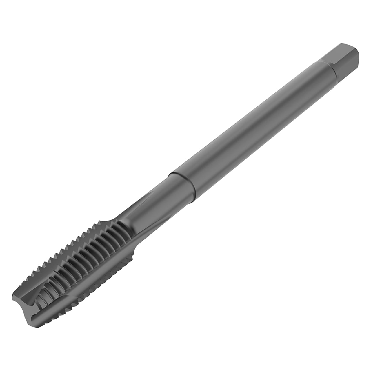 10309536.jpg
