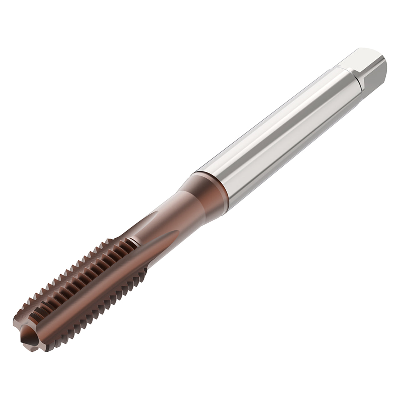10309984.jpg