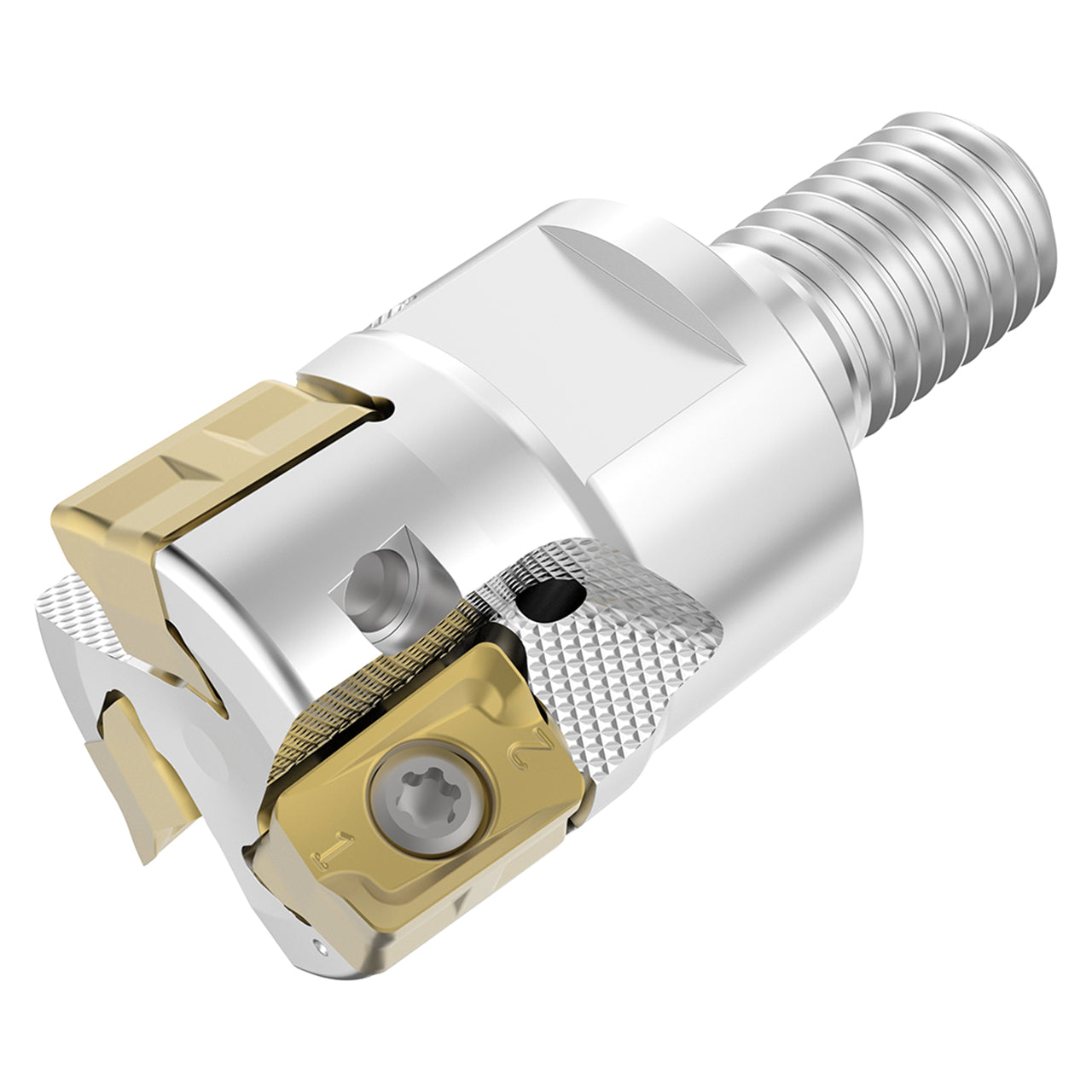 10310363.jpg