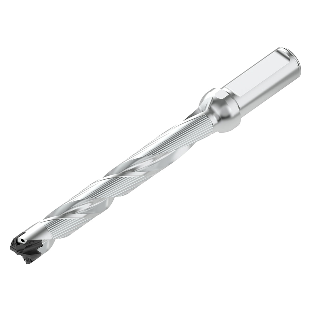 10333509.jpg