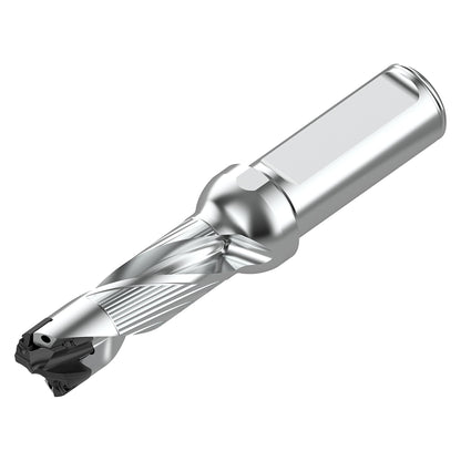 10333546.jpg