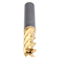 2648TZ.1000.jpg