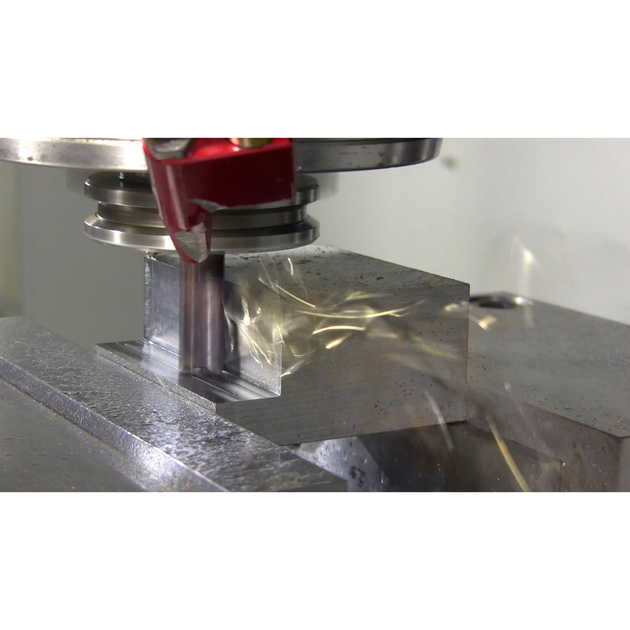 37501.jpg