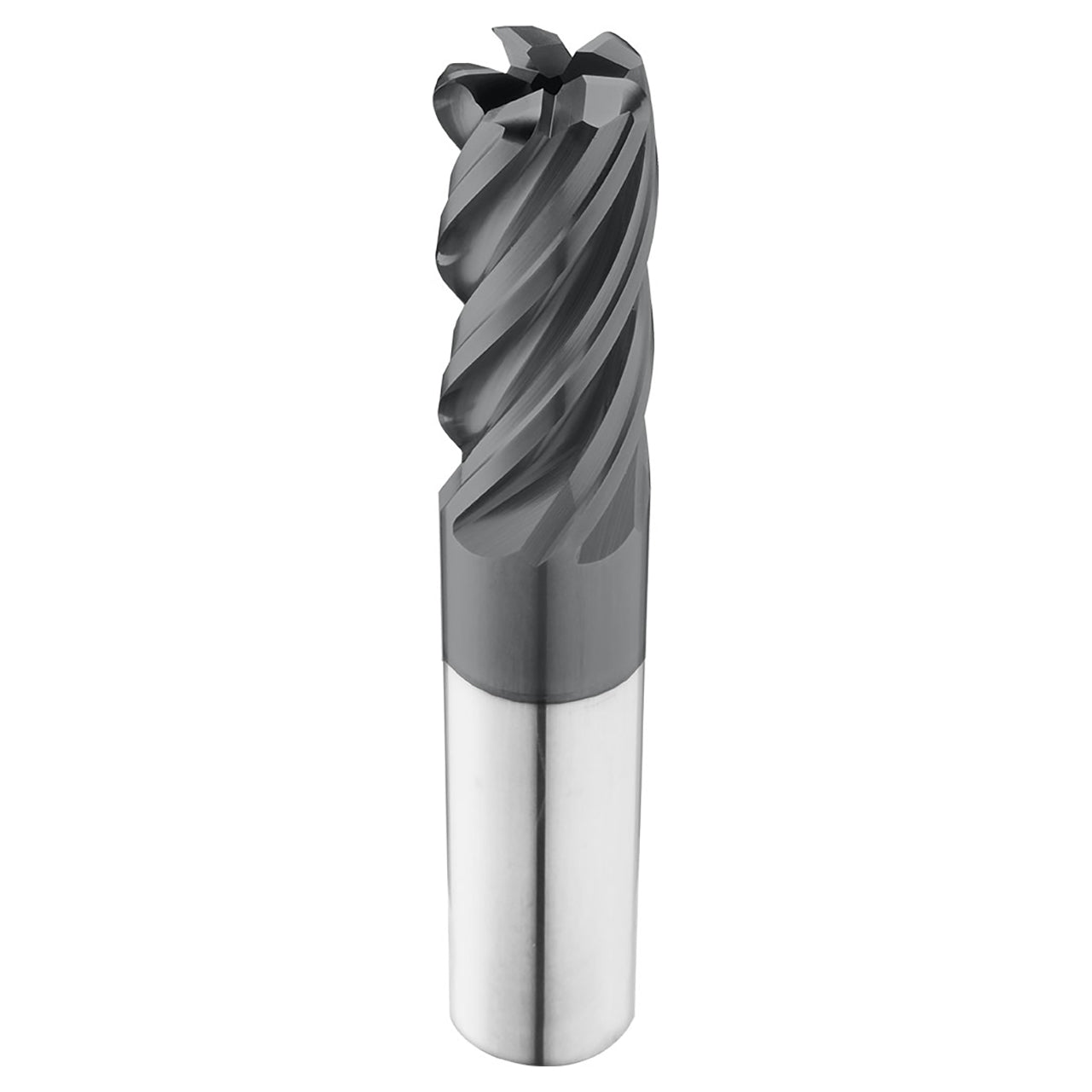 37619.jpg