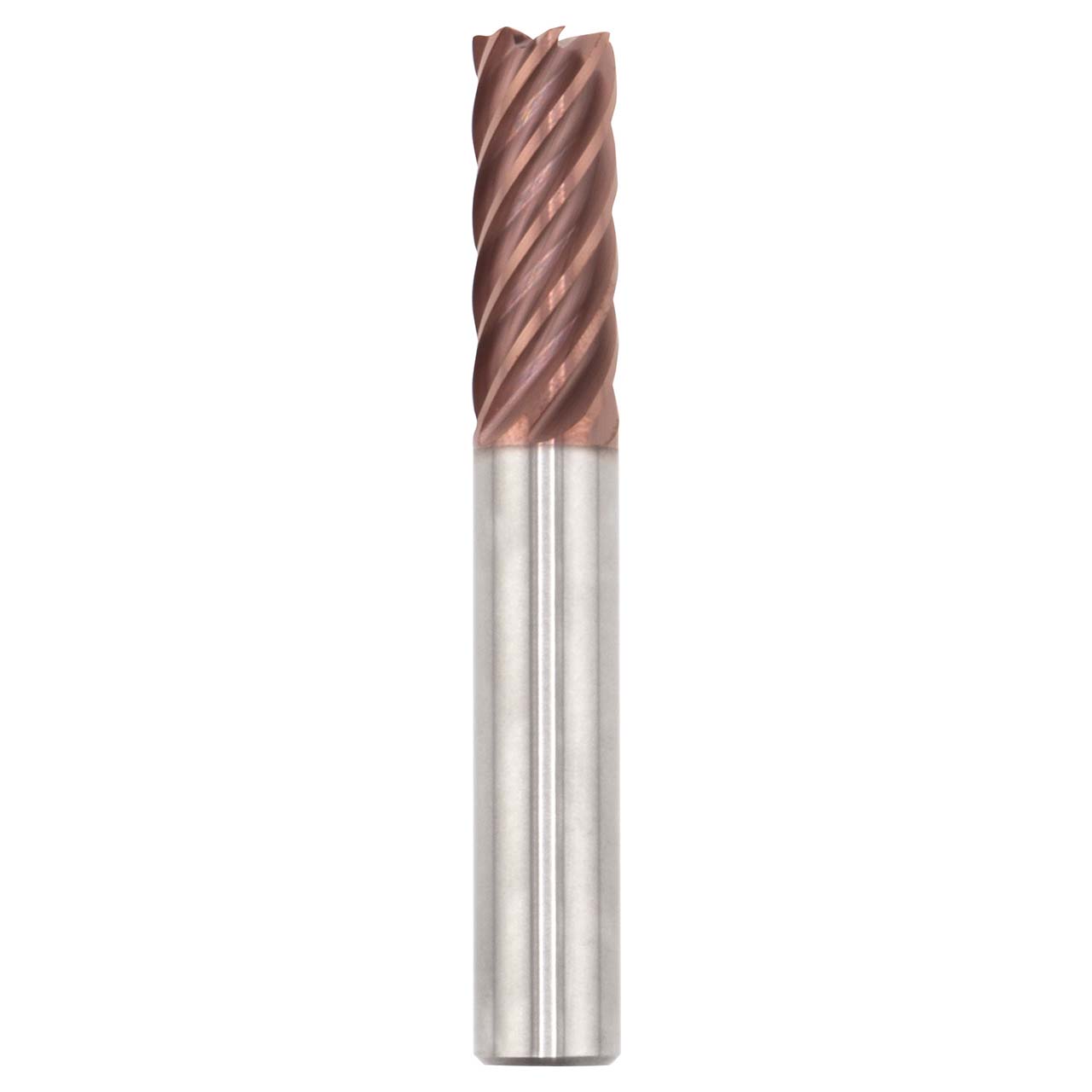 77381.jpg